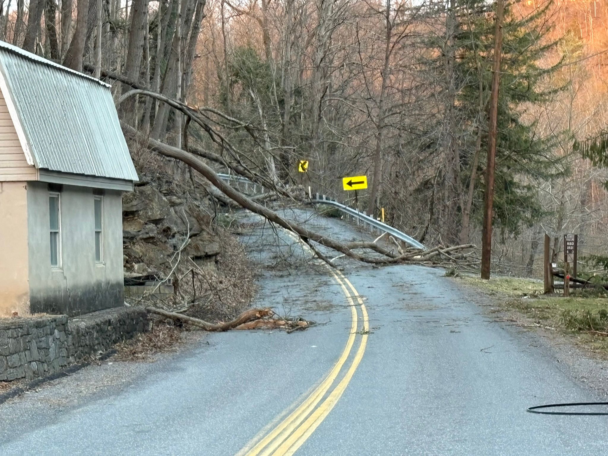 A tree blocking the road after a storm forcing a detour on the ride